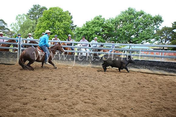 OrangeCampdraft5D_4096