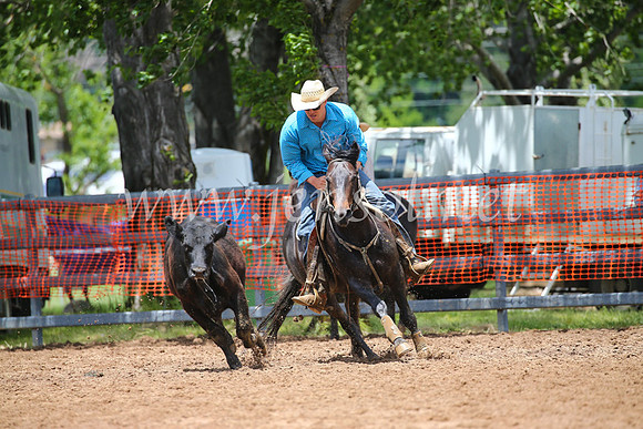 OrangeCampdraft2016_2760