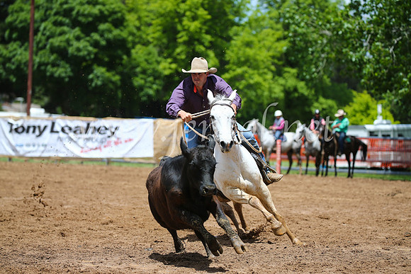 OrangeCampdraft2016_3018