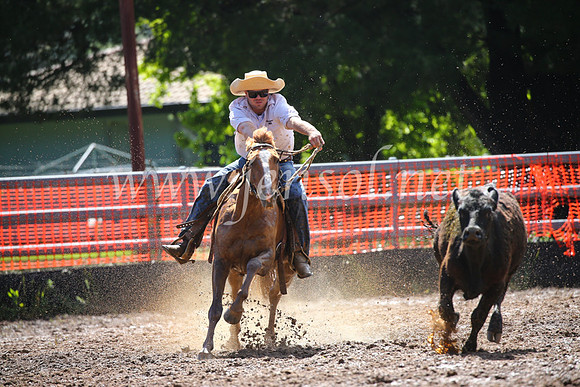 OrangeCampdraft2016_2323