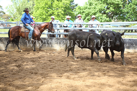 OrangeCampdraft5D_4022