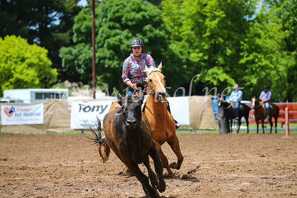 OrangeCampdraft2016_2623