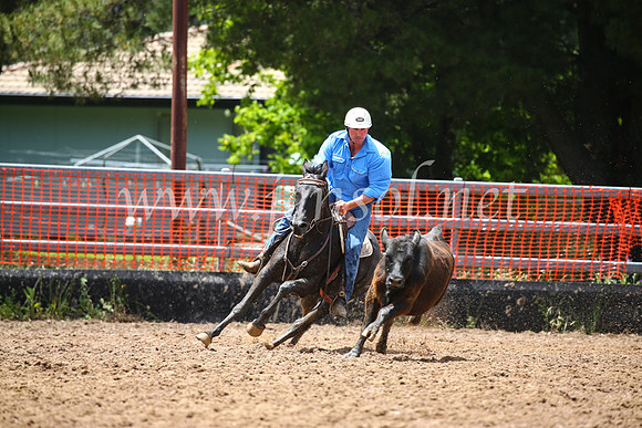 OrangeCampdraft2016_2866