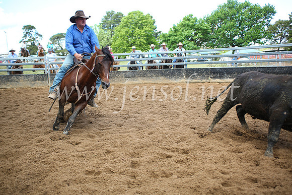 OrangeCampdraft5D_4032