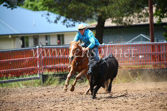 OrangeCampdraft2016_3125