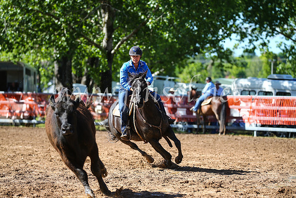 OrangeCampdraft2016_2132