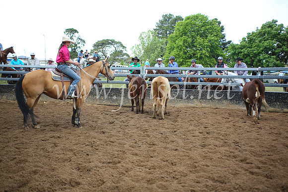 OrangeCampdraft5D_4085