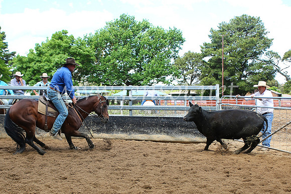 OrangeCampdraft5D_4029