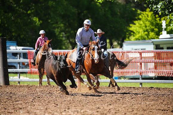 OrangeCampdraft2016_2185