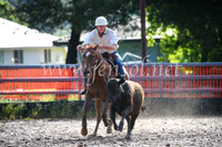 OrangeCampdraft2016_2013