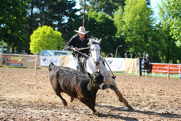 OrangeCampdraft2016_2036
