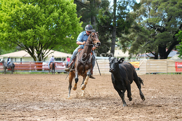 OrangeCampdraft2016_2412