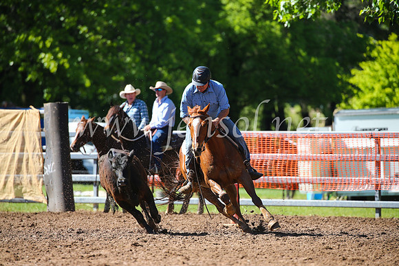 OrangeCampdraft2016_2250