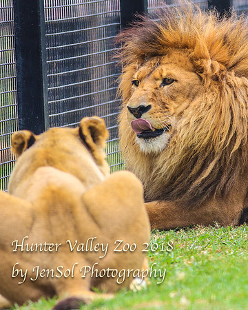 HunterValleyZoo_0168