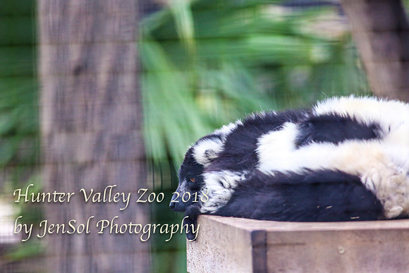 HunterValleyZoo_0242