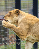 HunterValleyZoo_0114
