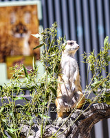 HunterValleyZoo_0058