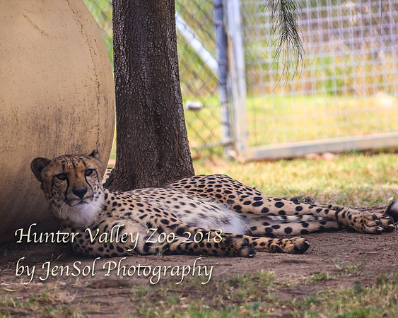 HunterValleyZoo_0064