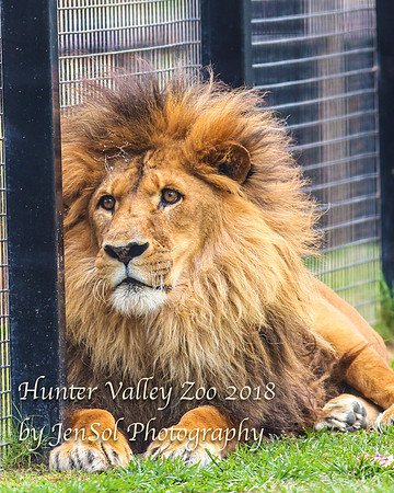 HunterValleyZoo_0144