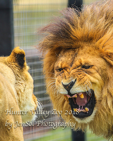 HunterValleyZoo_0101