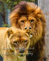 HunterValleyZoo_0087