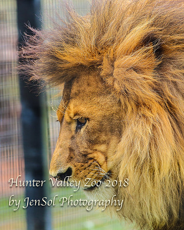 HunterValleyZoo_0158