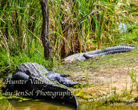 HunterValleyZoo_0026