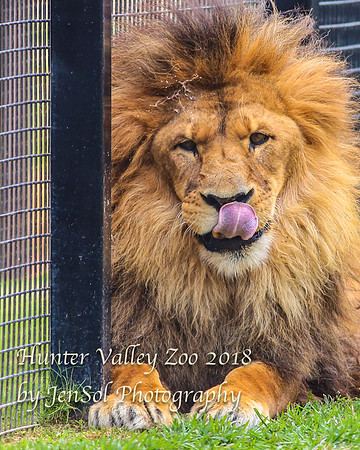 HunterValleyZoo_0142