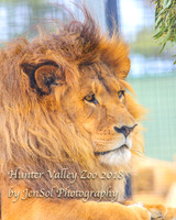 HunterValleyZoo_0084