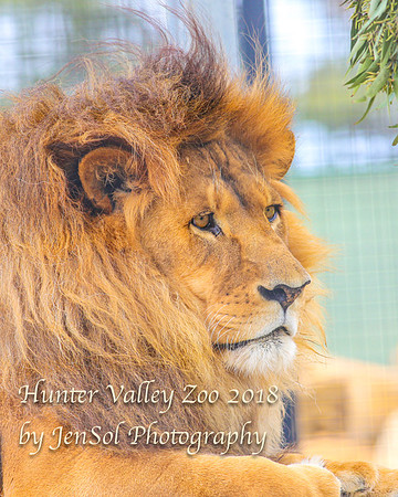 HunterValleyZoo_0084