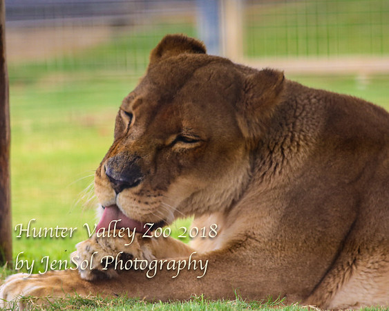 HunterValleyZoo_0189