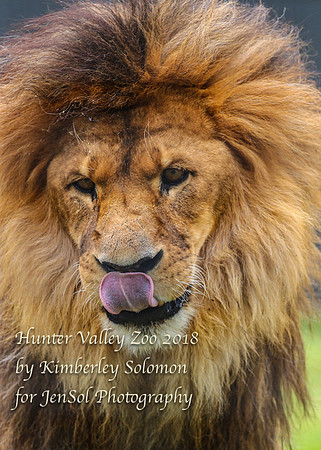 HunterValleyZooKJS_0960