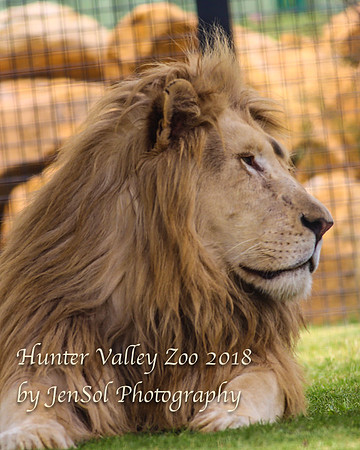 HunterValleyZoo_0175