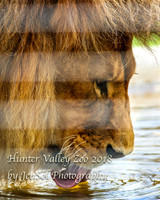 HunterValleyZoo_0129