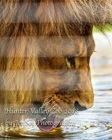 HunterValleyZoo_0129