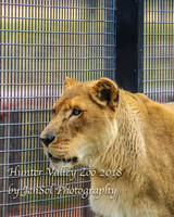 HunterValleyZoo_0107