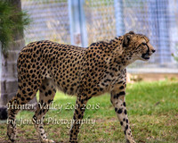 HunterValleyZoo_0071
