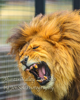 HunterValleyZoo_0095