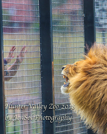 HunterValleyZoo_0166