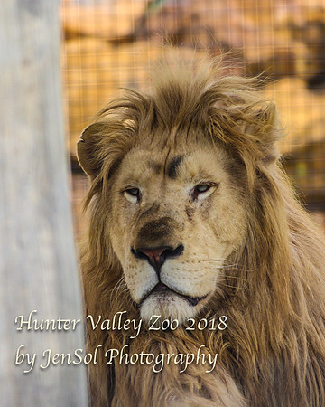 HunterValleyZoo_0171