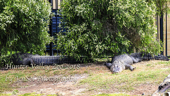 HunterValleyZoo_0028