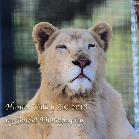 HunterValleyZoo_0025
