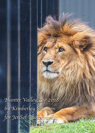 HunterValleyZooKJS_1001