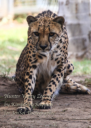 HunterValleyZooKJS_0655