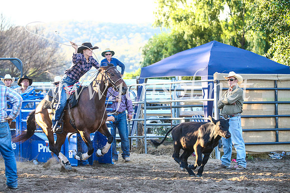 CoomaRodeo2017_3529