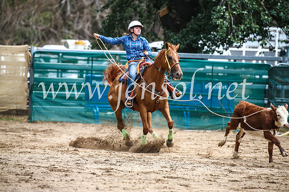 CoomaRodeo2017_0768