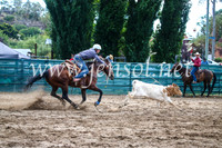 CoomaRodeo2017_1390