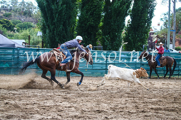 CoomaRodeo2017_1390