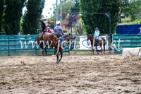 CoomaRodeo2017_1391
