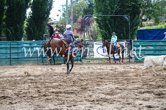 CoomaRodeo2017_1391